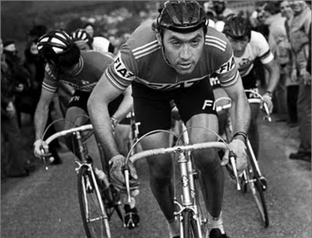 Cycling Eddy Merckx